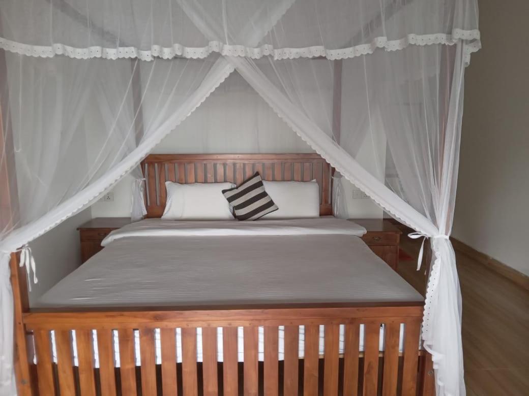 Divine View Homestay 埃拉 外观 照片