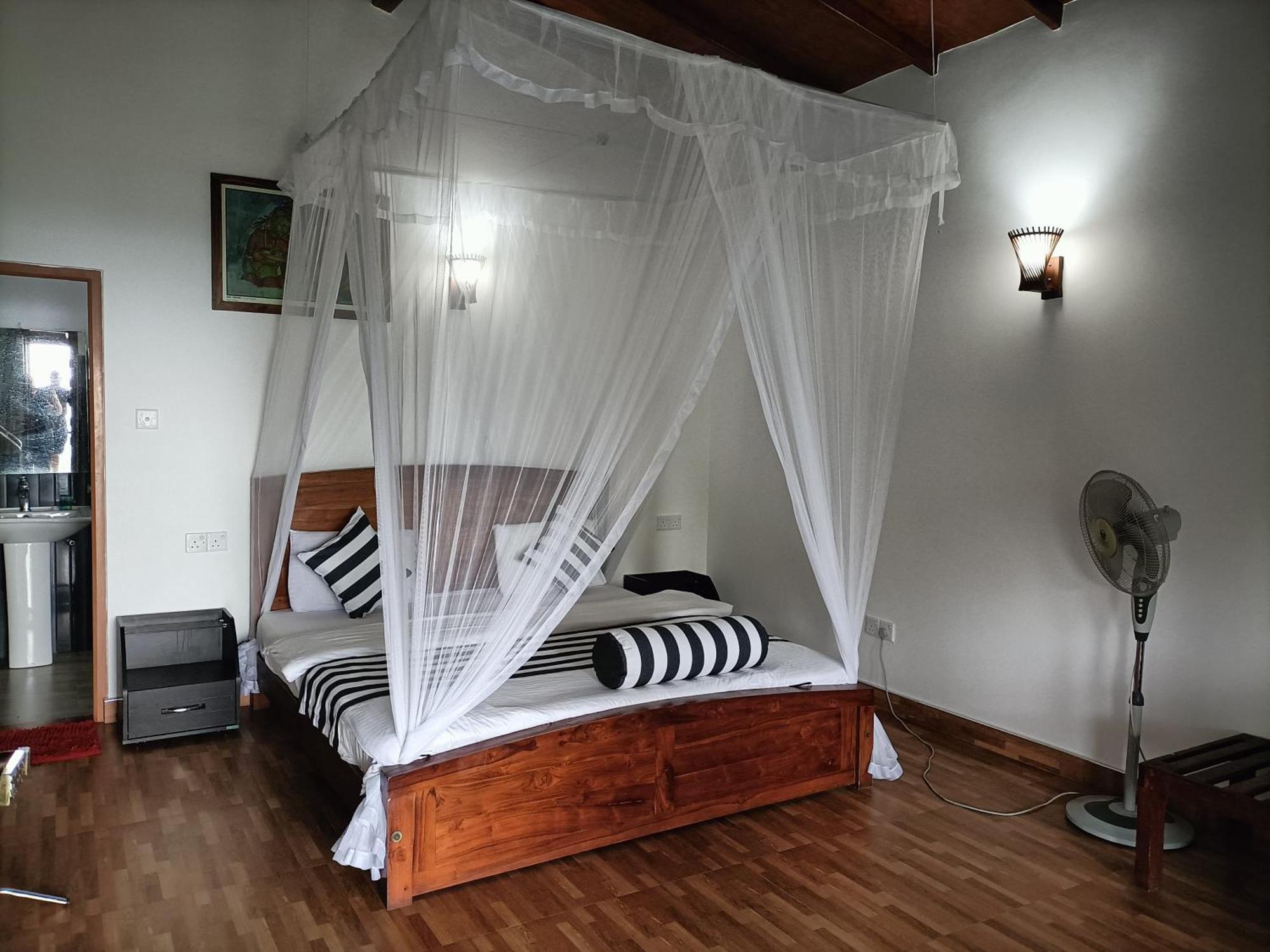 Divine View Homestay 埃拉 外观 照片