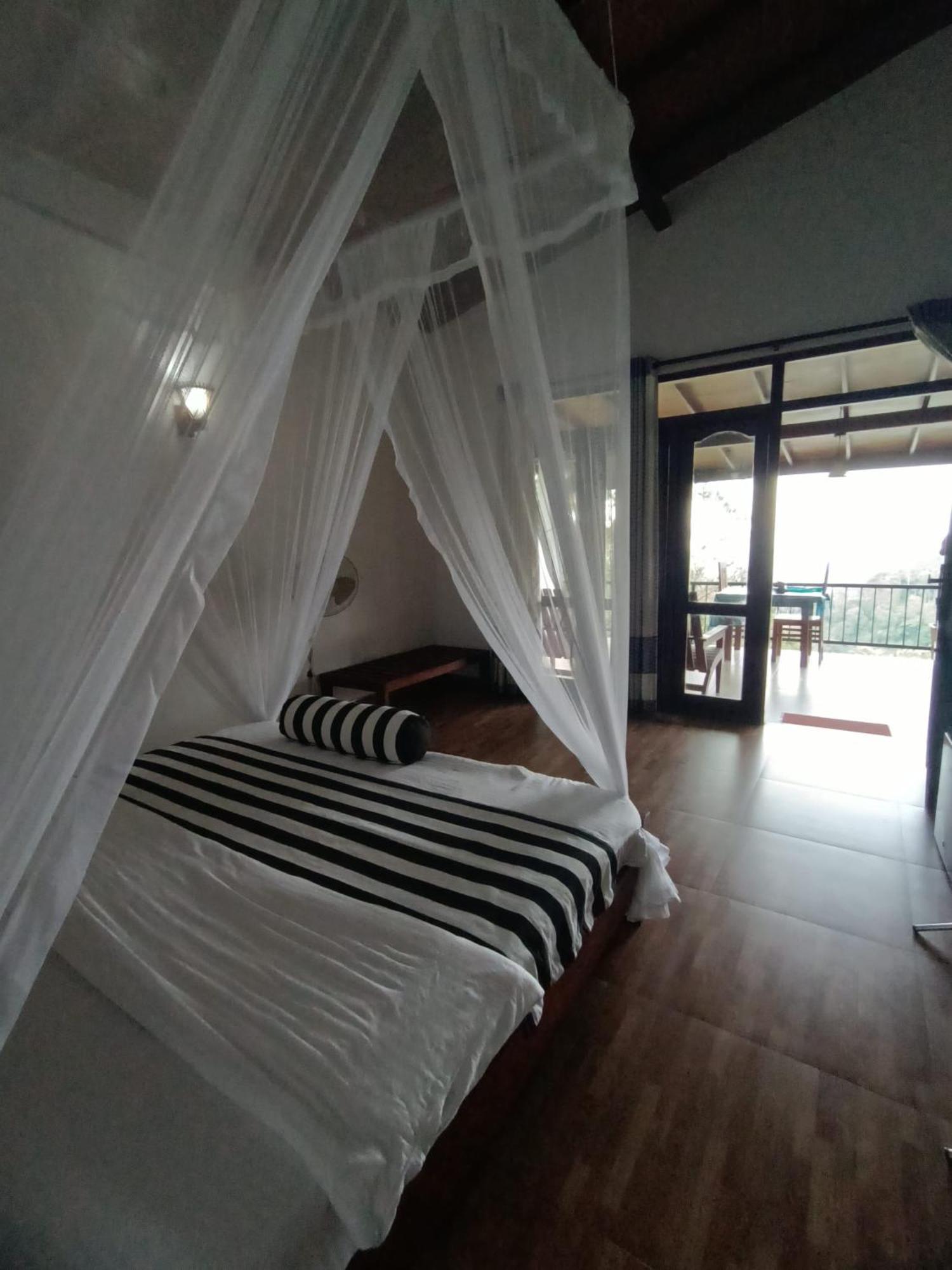 Divine View Homestay 埃拉 外观 照片