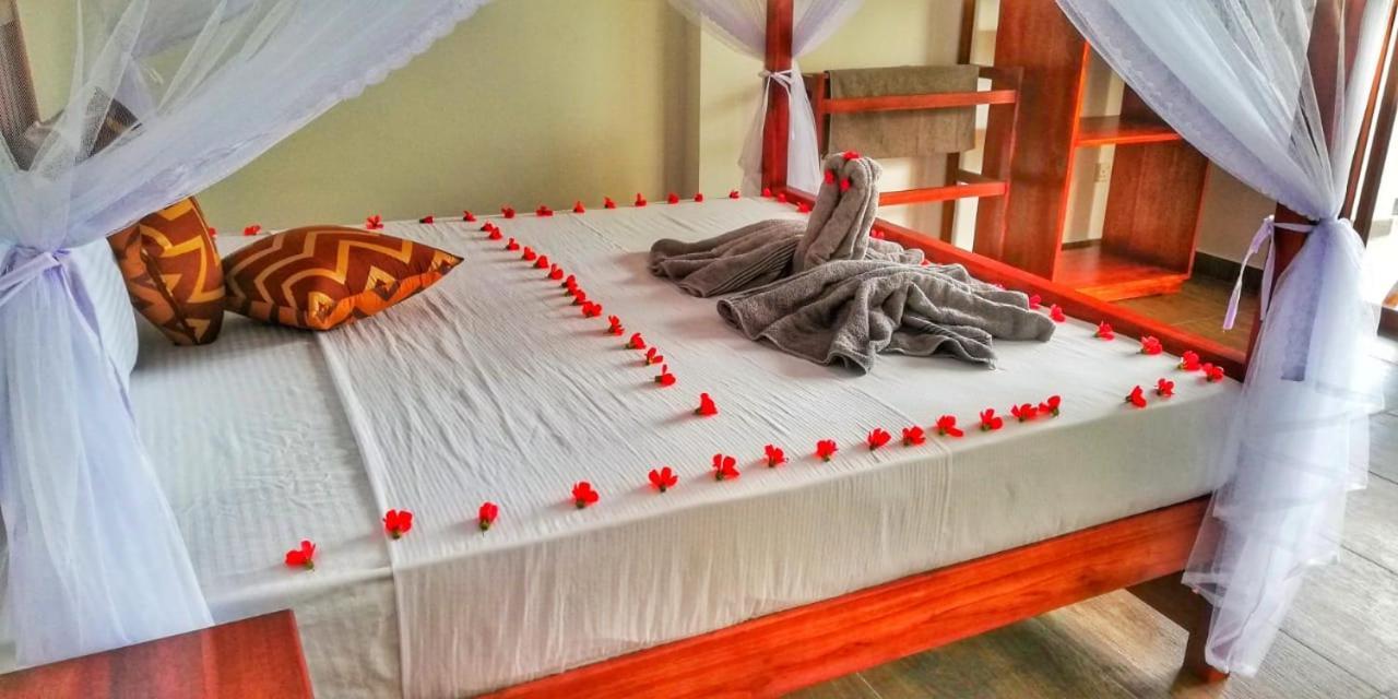 Divine View Homestay 埃拉 外观 照片